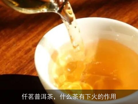 仟茗普洱茶，什么茶有下火的作用