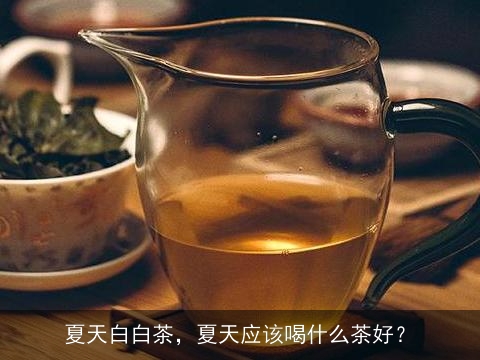 夏天白白茶，夏天应该喝什么茶好？