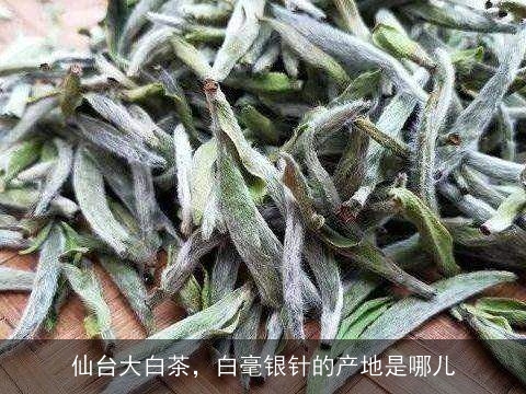 仙台大白茶，白毫银针的产地是哪儿