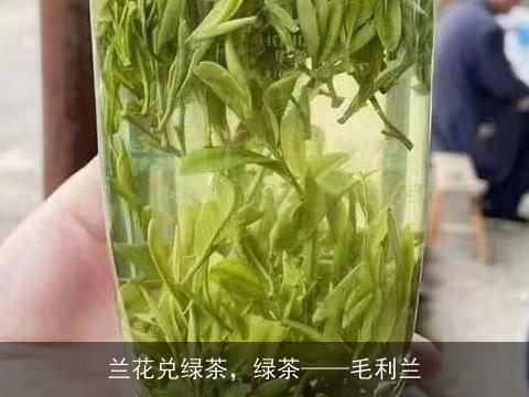 兰花兑绿茶，绿茶——毛利兰