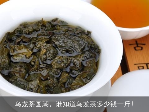 乌龙茶国潮，谁知道乌龙茶多少钱一斤!