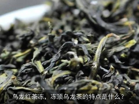 乌龙红茶冻，冻顶乌龙茶的特点是什么？