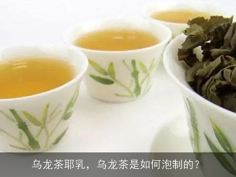 乌龙茶耶乳，乌龙茶是如何泡制的？