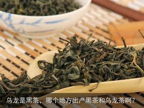 乌龙是黑茶，哪个地方出产黑茶和乌龙茶啊？