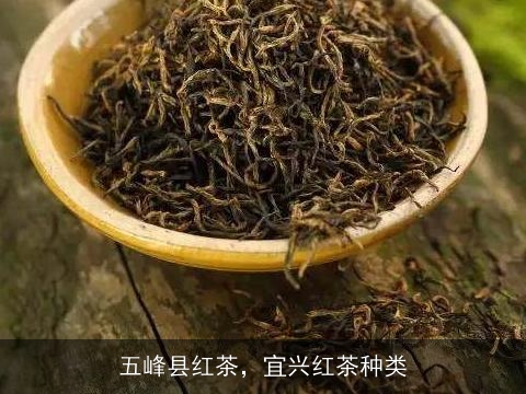 五峰县红茶，宜兴红茶种类