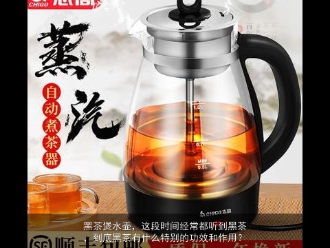 黑茶煲水壶，这段时间经常都听到黑茶，到底黑茶有什么特别的功效和作用？
