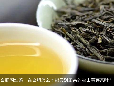 合肥网红茶，在合肥怎么才能买到正宗的霍山黄芽茶叶？