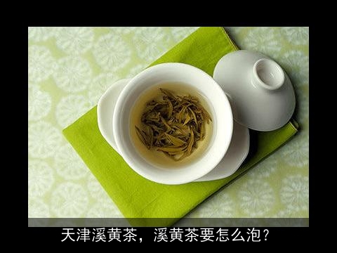 天津溪黄茶，溪黄茶要怎么泡？
