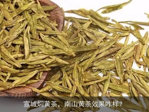 宣城焖黄茶，南山黄茶效果咋样？