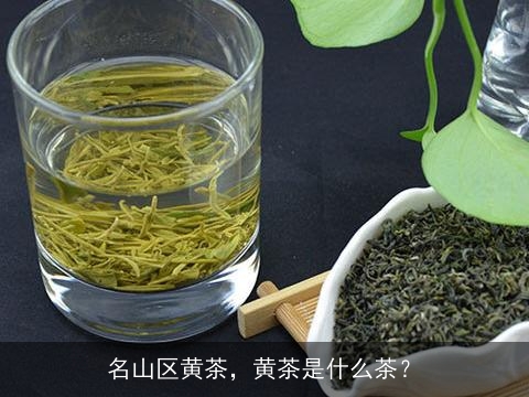 名山区黄茶，黄茶是什么茶？