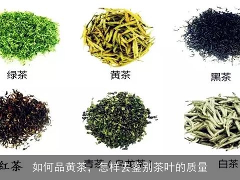 如何品黄茶，怎样去鉴别茶叶的质量